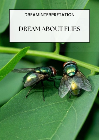 dream about a fly in my dream