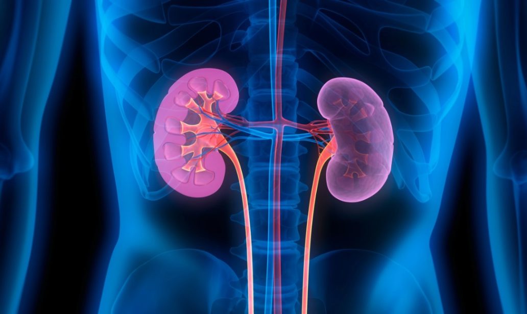 Meaning of Dream About Kidney Transplant