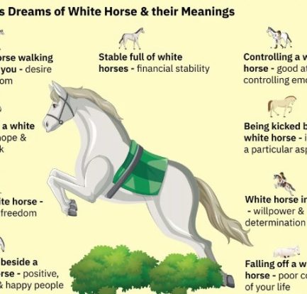 dream meaning kicked by a horse