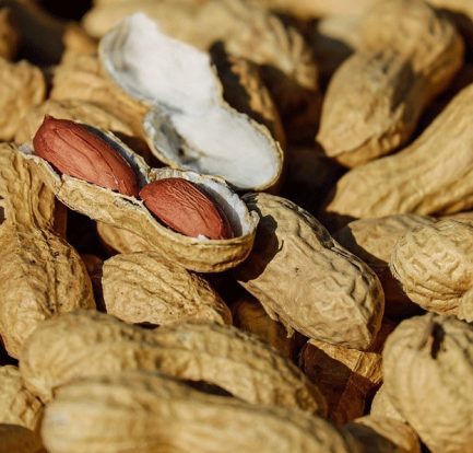 dream meaning of selling groundnut