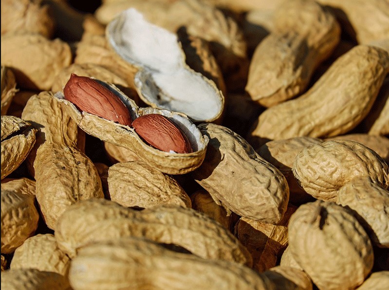 dream meaning of selling groundnut