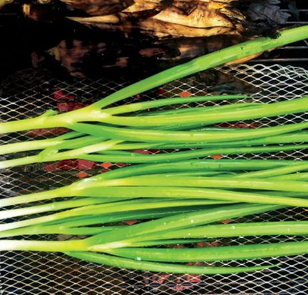 Dream Meaning Of Scallions