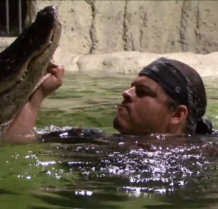 wresting ewith an alligator