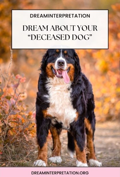 dream meaning about recently deceased dog