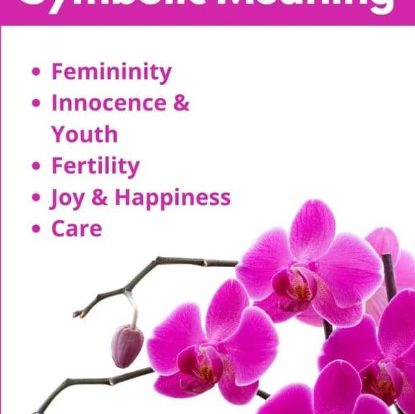 dream meaning of orchid flower
