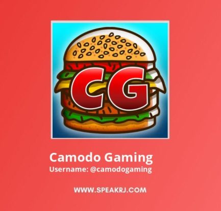camodo gaming fanmail address