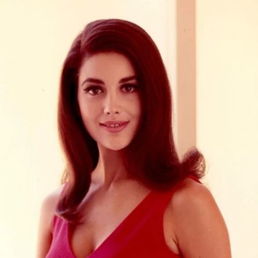 How to Contact Linda Harrison: Phone Number
